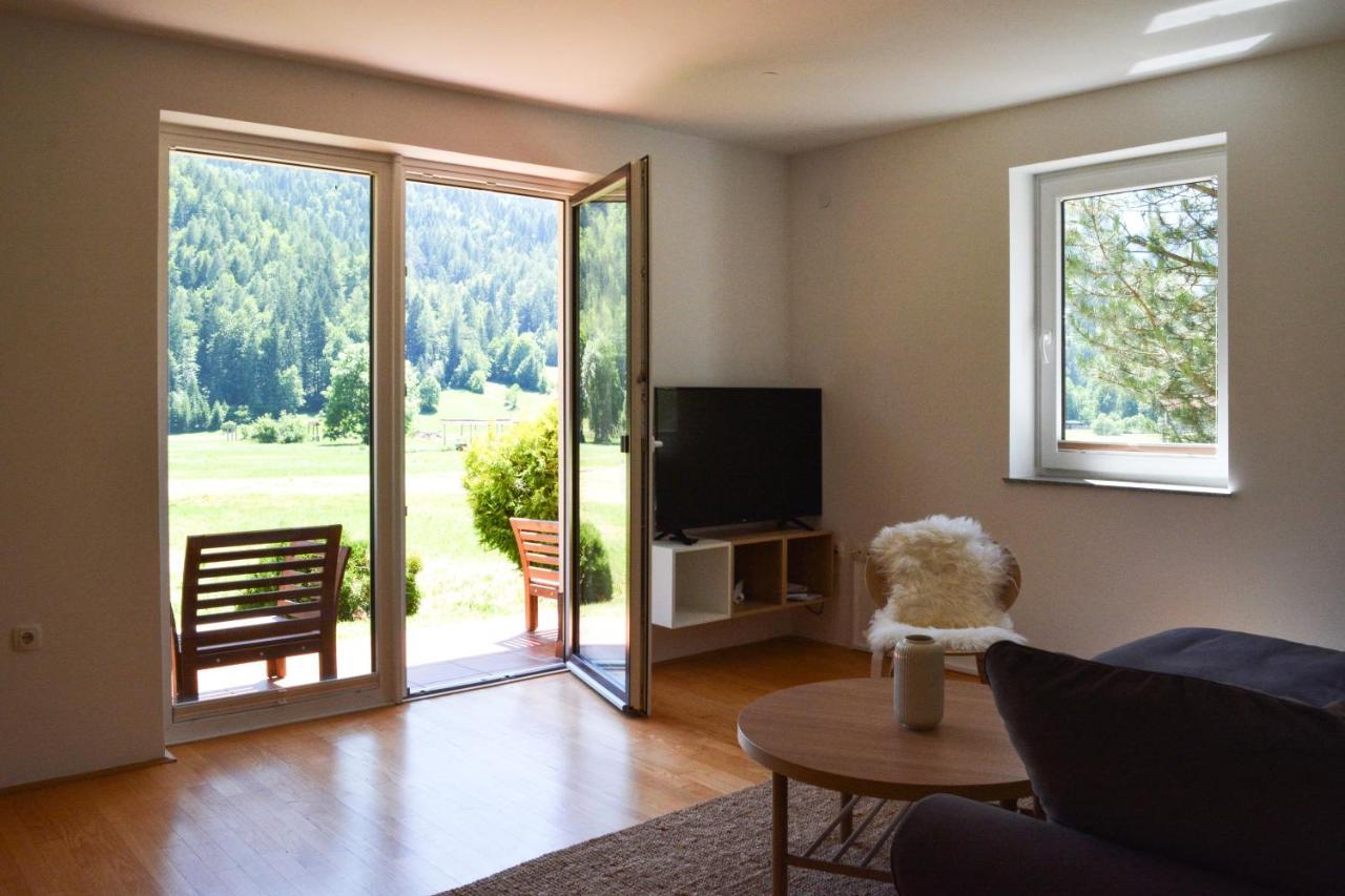 Planina Apartment *