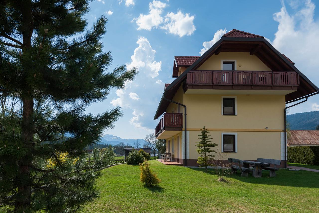Planina Kranjska Gora