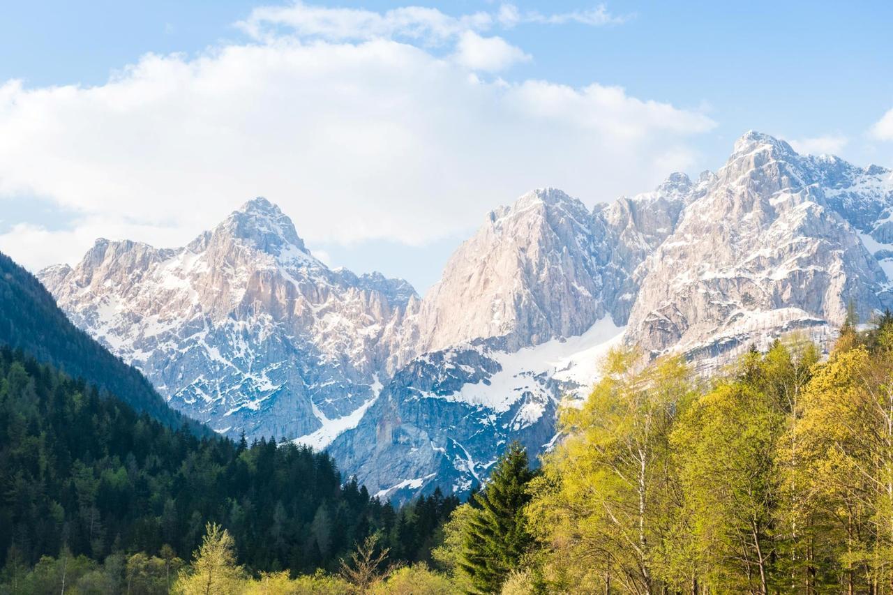 Planina Apartment Kranjska Gora